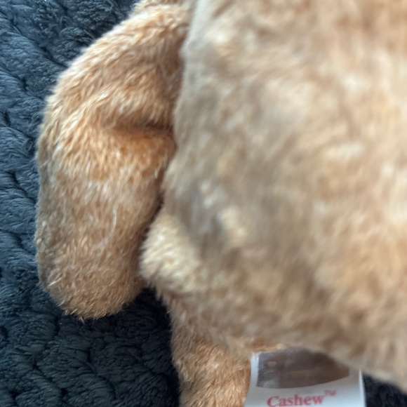 Cashew, holiday,Curly - Picture 4 of 14